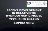 Recent Development in RELATIVISTIC HYDRODYNAMIC MODEL