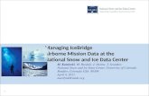 Managing  IceBridge Airborne Mission Data at the National Snow and Ice Data Center