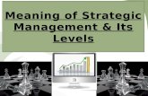 Meaning of Strategic Management & Its Levels
