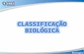 Classificação biológica