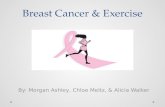 Breast Cancer & Exercise