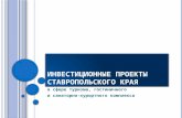 Инвестиционные проекты Ставропольского края