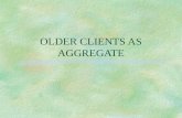 OLDER CLIENTS AS AGGREGATE