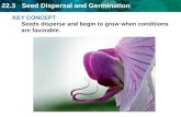 KEY CONCEPT Seeds disperse and begin to grow when conditions are favorable.