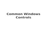 Common Windows Controls