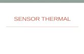 Sensor Thermal