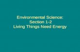 Environmental Science:  Section 1-2 Living Things Need Energy
