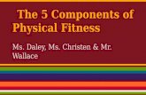 The 5 Components of Physical Fitness