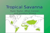Tropical Savanna