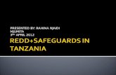 REDD+SAFEGUARDS IN TANZANIA