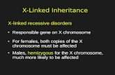 X-Linked Inheritance