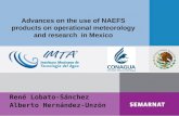 Advances on the use of NAEFS products on operational meteorology and research  in Mexico