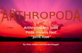 Arthro means joint Poda means foot “joint-foot” By: Holly Kwikkel and Brandon Steggall