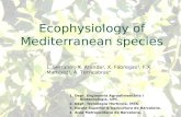 Ecophysiology of Mediterranean species