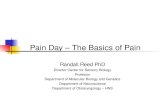 Pain Day – The Basics of Pain