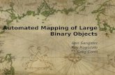 Automated Mapping of Large Binary Objects