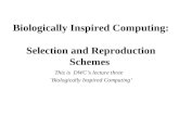 Biologically Inspired Computing:   Selection and Reproduction Schemes