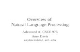 Overview of  Natural Language Processing