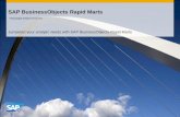 SAP BusinessObjects Rapid Marts Prepackaged Analytics Know-How
