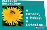 Discover Entomology