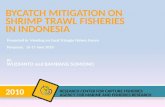 BYCATCH MITIGATION ON SHRIMP TRAWL FISHERIES  IN INDONESIA