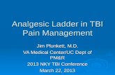 Analgesic Ladder in TBI Pain Management