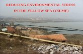 REDUCING ENVIRONMENTAL STRESS  IN THE YELLOW SEA (YSLME)