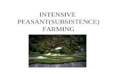 INTENSIVE  PEASANT(SUBSISTENCE) FARMING
