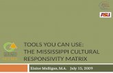 Tools you can use:  The Mississippi cultural  responsivity  matrix