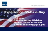 Experience GSA’s e-Buy