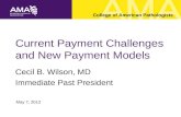 Current Payment Challenges and New Payment Models