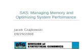 SAS: Managing Memory and Optimizing System Performance