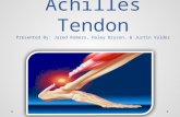 Achilles Tendon Presented By: Jared Romero, Haley Bryson, & Justin Valdez
