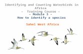 – Module 3 –  How to identify a species Sahel West Africa
