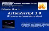 ActionScript 3.0 ( Program workspace/overview )