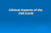 Clinical Aspects of the  Cell Cycle
