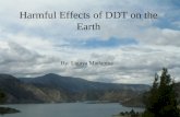 Harmful Effects of DDT on the Earth