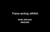 Trans-acting siRNA