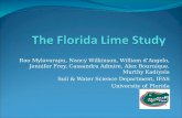 The Florida Lime Study