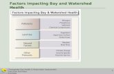 Factors Impacting Bay and Watershed Health