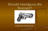 Should Handguns Be Banned?
