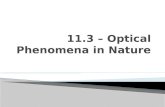 11.3 – Optical Phenomena in Nature