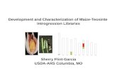 Development and Characterization of Maize-Teosinte  Introgression Libraries