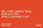 SQL,  noSQL ,  BigData , Tables,  Blobs  and more…  What’s  a developer to do ?