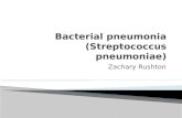Bacterial pneumonia (Streptococcus  pneumoniae )