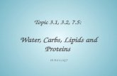 Topic 3.1, 3.2, 7.5:  Water,  Carbs , Lipids and  Proteins