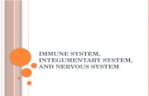 Immune System, Integumentary System, and Nervous System