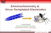Electrochemistry &  Virus- Templated  Electrodes