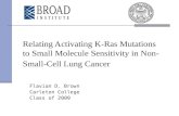 Relating Activating K-Ras Mutations to Small Molecule Sensitivity in Non-Small-Cell Lung Cancer