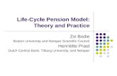 Life-Cycle Pension Model: Theory and Practice